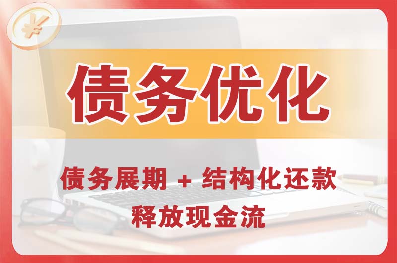 景县债务优化